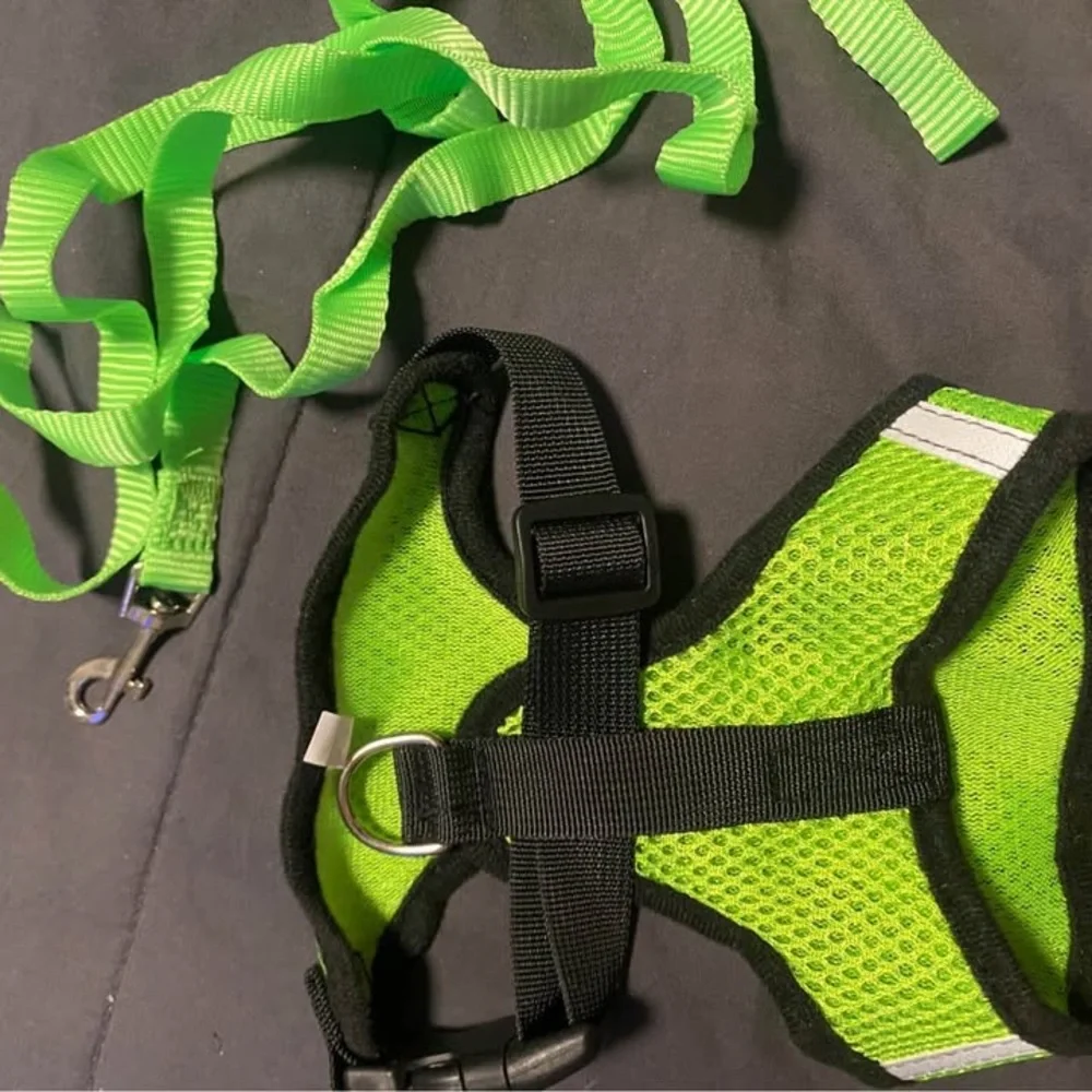 Bright Green Dog Harness and Leash Set 🐱🐕💚